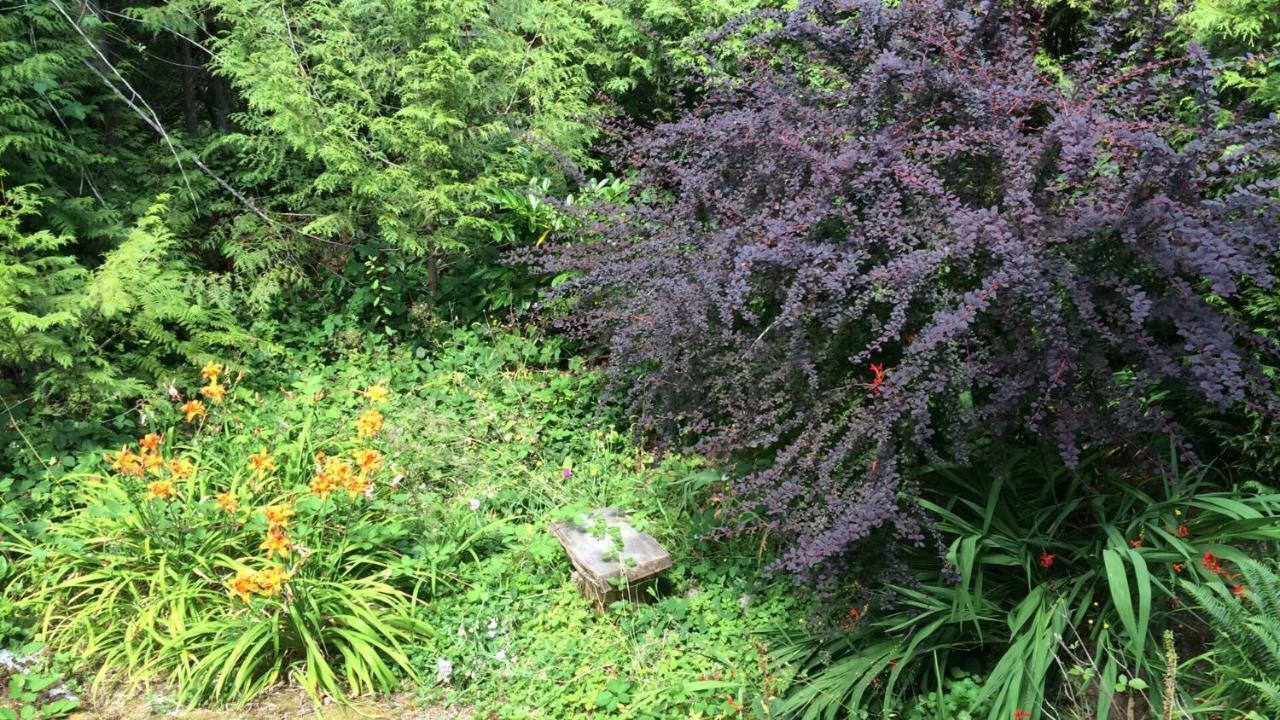 Secret Cove Cottage Suites Halfmoon Bay Extérieur photo